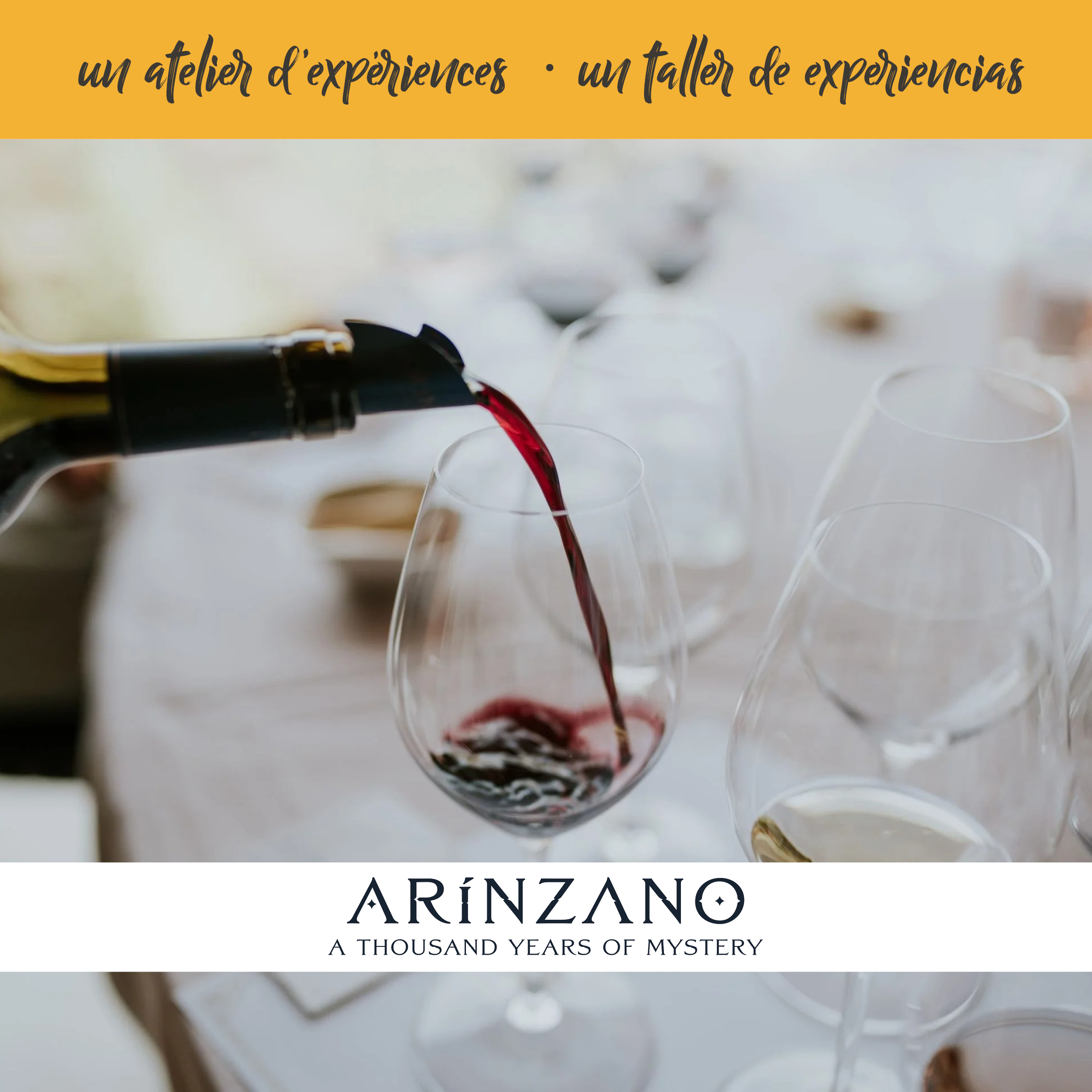 Arínzano - Dégustation – Image 3