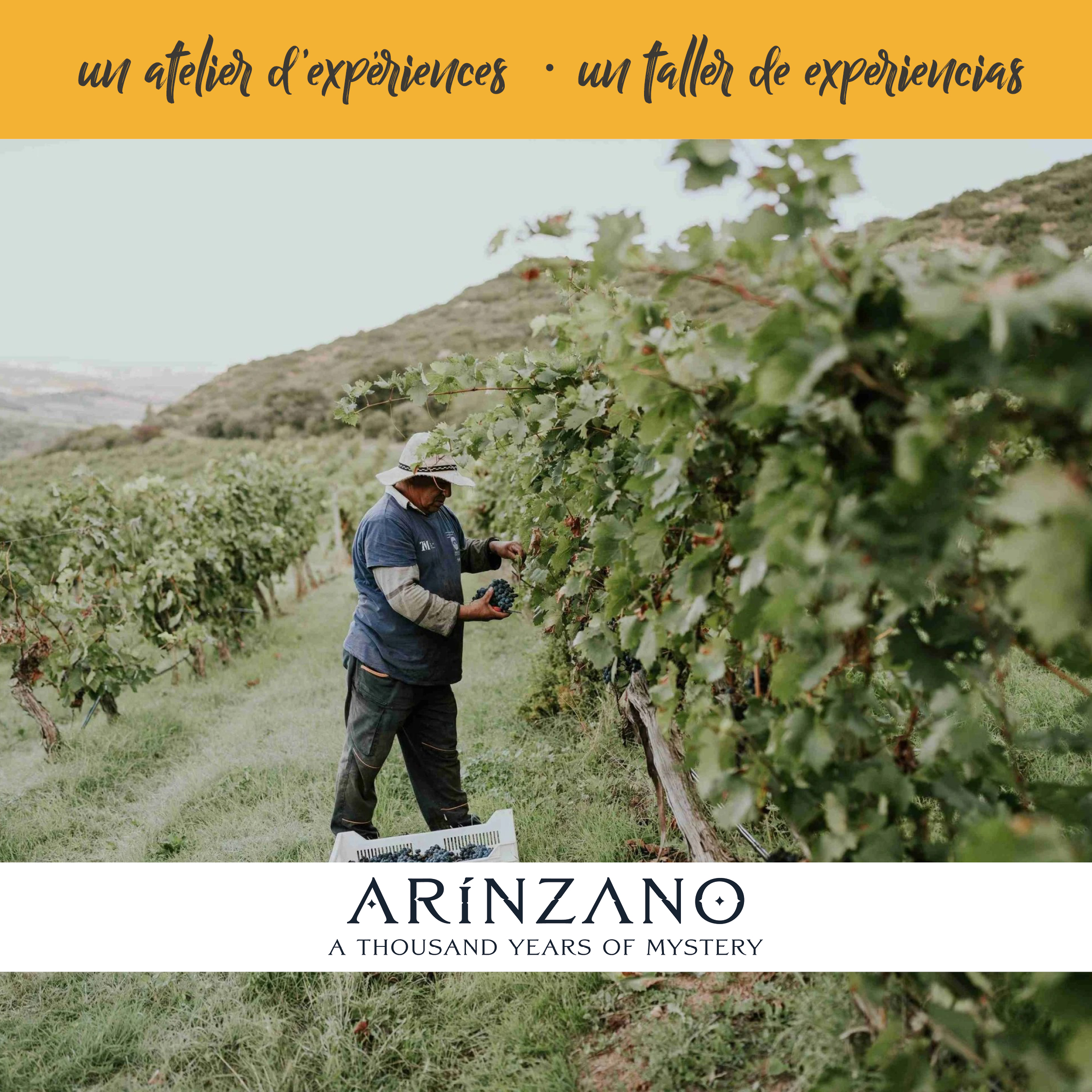 Arínzano - Dégustation – Image 4