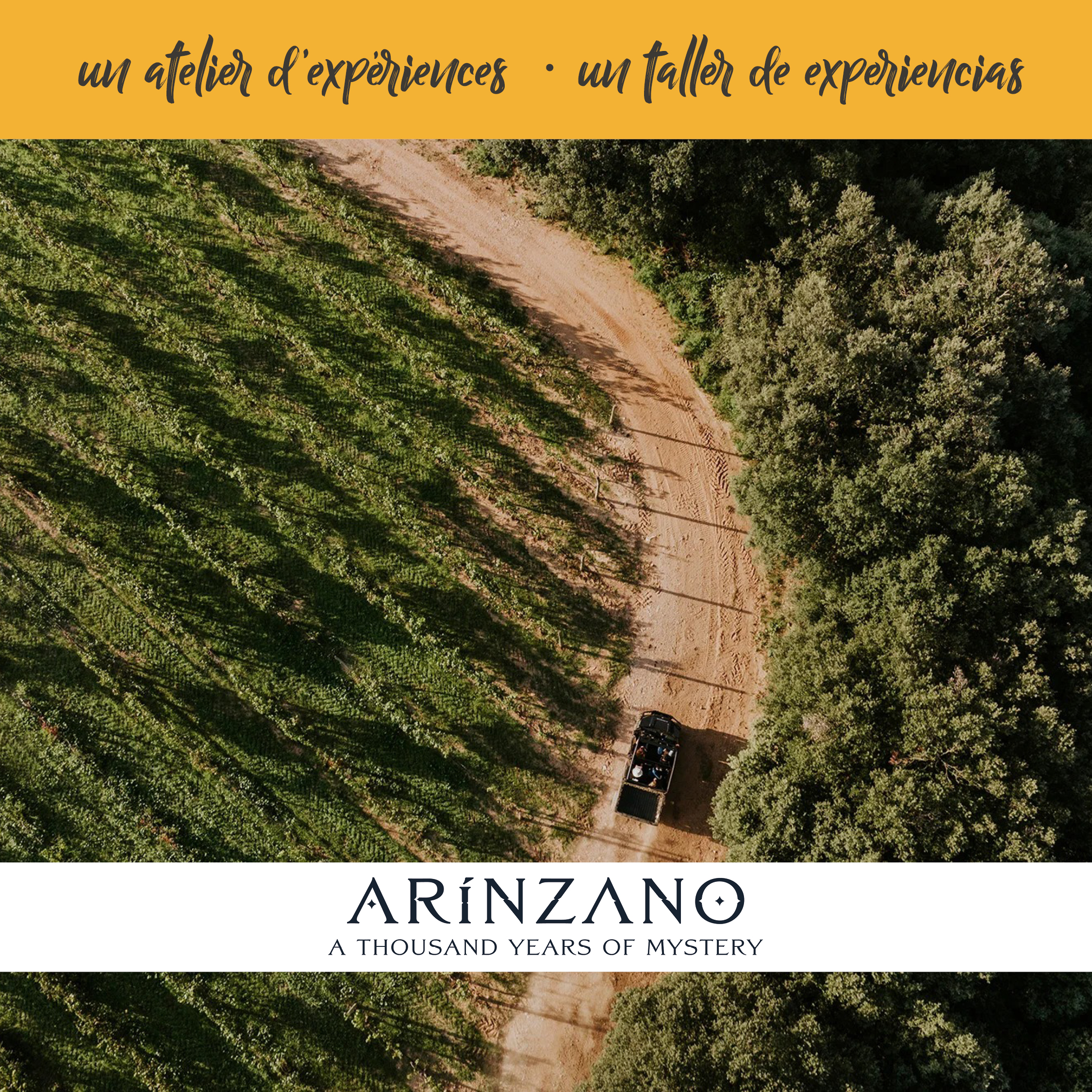 Arínzano - Dégustation – Image 5