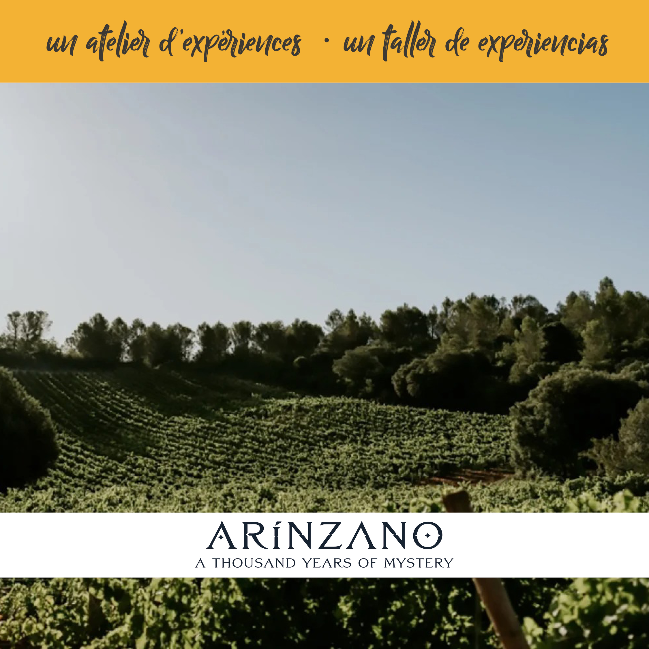 Arínzano - Dégustation – Image 6